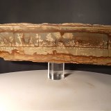 Piedra paisajistica
310 x 90 mm
(Autor: Sante Celiberti)