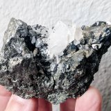 Arsenopirita, Cuarzo
6,5 x 3,5 cm.
(Autor: carles)