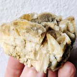 Magnesita, Dolomita
6,0 x 3,2 cm.
(Autor: carles)