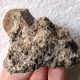 Magnesita
6,1 x 4,0 cm
(Autor: carles)