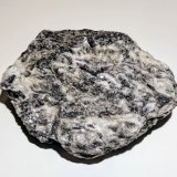 Magnesita
6,5 x 4,7 cm.
(Autor: carles)