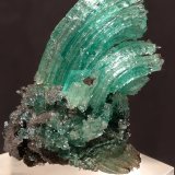 Calcantita
48 x 29 mm
(Autor: Sante Celiberti)