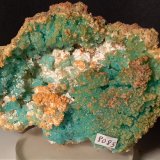 Calcantita, Pickeringita, Botryogenita
102 x 75 mm
(Autor: Sante Celiberti)