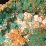 Calcantita, Pickeringita, Botryogenita
102 x 75 mm
(Autor: Sante Celiberti)