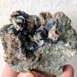 Hematites
7,2 x 4,0 cm.
(Autor: carles)