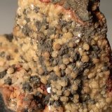 Arsenopirita, Ferberita, Marcasita, Siderita
47 x 45 mm
(Autor: Sante Celiberti)