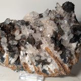 Hematites, Cuarzo
160 x 118 mm
(Autor: Sante Celiberti)