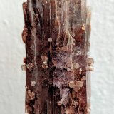 Aragonito
3,1 x 7,3 cm.
(Autor: carles)