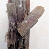 Aragonito
4,0 x 8,1 cm.
(Autor: carles)