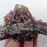 Aragonito
9,5 x 6,0 cm.
(Autor: carles)