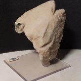 Dolomita (pseudomórfica de Calcita), Pirita, Calcita
87 x 67 mm
(Autor: Sante Celiberti)