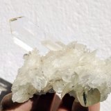 Yeso
8,5 x 6,3 cm.
(Autor: carles)
