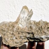 Yeso
9,4 x 4,7 cm.
(Autor: carles)