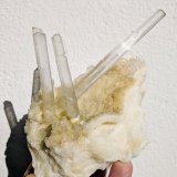 Yeso
12,0 x 8,0 cm.
(Autor: carles)