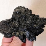 Yeso
9,2 x 6,6 cm.
(Autor: carles)