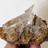 Yeso
7,0 x 5,5 cm.
(Autor: carles)