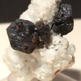 Esfalerita, Galena, Berthierita, Calcopirita, Cuarzo, Dolomita
36 x 28 mm
(Autor: Sante Celiberti)