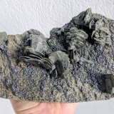 Pirrotita, Pirita, Galena
24,0 x 12,0 cm.
(Autor: carles)