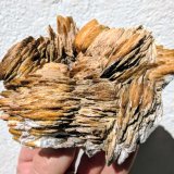 Barita
11,1 x 9,2 cm.
(Autor: carles)