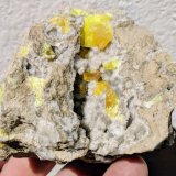 Azufre, Celestina
7,5 x 6,5 cm.
(Autor: carles)