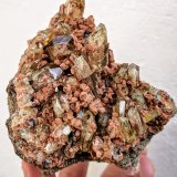Fluorapatito
8,5 x 6,0 cm.
(Autor: carles)