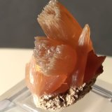 Calcita
28 x 24 mm
(Autor: Sante Celiberti)