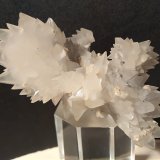 Calcita (variedad manganocalcita)
81 x 44 mm
(Autor: Sante Celiberti)