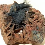 Boulangerita, Siderita
107 x 85 mm
(Autor: Sante Celiberti)