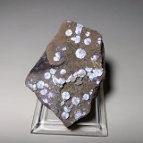 Dawsonita
45 x 33 mm
(Autor: Sante Celiberti)