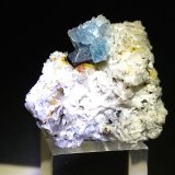 Haüyna, Magnetita, Zircon
26 x 23 mm
(Autor: Sante Celiberti)