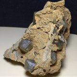 Cuarzo
65 x 42 mm
(Autor: Sante Celiberti)