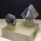 Cuarzo
21 x 21 mm; 15 x 14 mm
(Autor: Sante Celiberti)