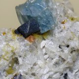 Hauyna, Magnetita, Zircón
26 x 23 mm
(Autor: Sante Celiberti)