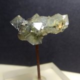 Cuarzo
23 x 17 mm
(Autor: Sante Celiberti)