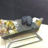 Galena, Esfalerita
58 x 19
(Autor: Sante Celiberti)
