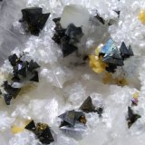 Tetrahedrita, Calcita, Anhidrita, Ankerita
180 x 65 mm
(Autor: Sante Celiberti)