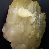 Yeso
370 x 280 mm
(Autor: Sante Celiberti)
