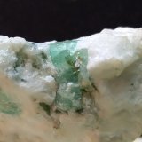 Berilo (variedad esmeralda)
44 x 32 mm
(Autor: Sante Celiberti)