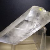 Yeso, Azufre
112 x 39 mm
(Autor: Sante Celiberti)