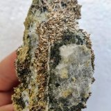 Allargentum, Calcita, Actinolita
8,0 x 4,7 cm.
(Autor: carles)
