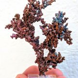 Cobre
5,6 x 6,7 cm
(Autor: carles)