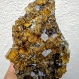 Fluorita, Pirita
8,0 x 12,0 cm.
(Autor: carles)