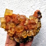 Fluorita, Cuarzo
10,0 x 8,3 cm.
(Autor: carles)