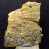 Versiliaita
45 x 30 mm
(Autor: Sante Celiberti)