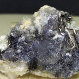 Rouxelita
45 x 32 mm
(Autor: Sante Celiberti)