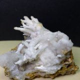 Aragonito (variedad flos ferri)
74 x 70 mm
(Autor: Sante Celiberti)