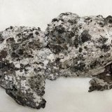 Plata
4,5 x 3,0 cm. (aprox)
(Autor: carles)