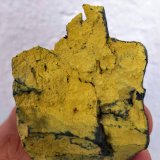 Schuetteita
4,0 x 4,3 cm.
(Autor: carles)