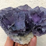 Fluorita, Cuarzo
9,8 x 7,6 x 6,0 cm
(Autor: carles)