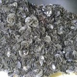 Calcita
120 x 73 mm
(Autor: Sante Celiberti)